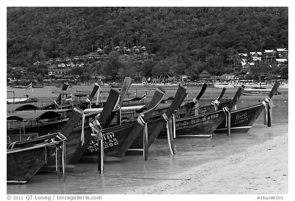 Row of long tail boats on Lo Dalam beach, Phi-Phi island. Krabi Province, Thailand (black and white)