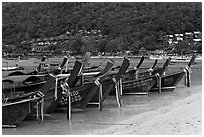 Row of long tail boats on Lo Dalam beach, Phi-Phi island. Krabi Province, Thailand ( black and white)