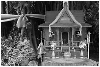 Spirit house and banyan roots, Phi-Phi island. Krabi Province, Thailand ( black and white)