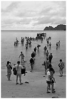 Large group of tourists disembarking from boats, Ko Phi-Phi Don. Krabi Province, Thailand (black and white)