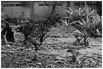 Islamic graveyard, Phi-Phi island. Krabi Province, Thailand (black and white)