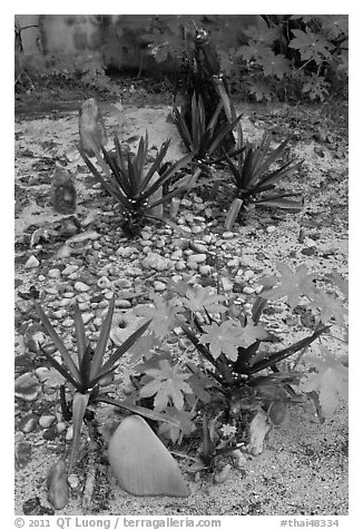 Low profile tombs in muslim cemetery, Ko Phi-Phi island. Krabi Province, Thailand (black and white)