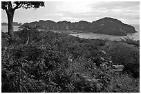 Tropical vegetation, bay, and hills, Ko Phi-Phi Don. Krabi Province, Thailand ( black and white)