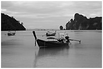 Long Tail boats moored in bay, early morning, Ko Phi Phi. Krabi Province, Thailand ( black and white)