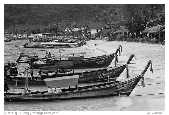 Long tail boats Tonsai beach and village, Ko Phi Phi. Krabi Province, Thailand (black and white)