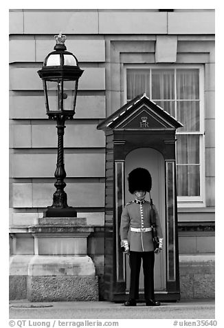 Guard and guerite, Buckingham Palace. London, England, United Kingdom (black and white)