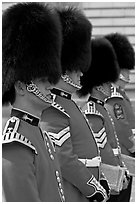Musicians of the Guard  with tall bearskin hat and red uniforms. London, England, United Kingdom (black and white)