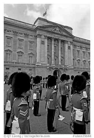 Musicians of the guard during the guard mounting in front of Buckingham Palace. London, England, United Kingdom