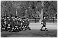 Guards marching near Buckingham Palace. London, England, United Kingdom (black and white)