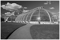 Palm House, built mid 19th century, first large-scale structural use of wrought iron. Kew Royal Botanical Gardens,  London, England, United Kingdom ( black and white)