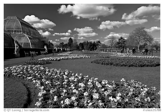 Flower bed and Palm House, afternoon. Kew Royal Botanical Gardens,  London, England, United Kingdom