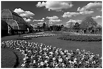 Flower bed and Palm House, afternoon. Kew Royal Botanical Gardens,  London, England, United Kingdom (black and white)