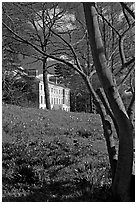Trees framing Museum No 1. Kew Royal Botanical Gardens,  London, England, United Kingdom ( black and white)