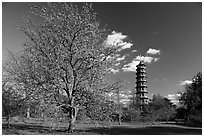 Great Pagoda and tree in bloom. Kew Royal Botanical Gardens,  London, England, United Kingdom (black and white)
