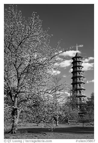 Great Pagoda by William Chambers. Kew Royal Botanical Gardens,  London, England, United Kingdom