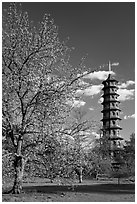 Great Pagoda by William Chambers. Kew Royal Botanical Gardens,  London, England, United Kingdom ( black and white)