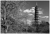 Great Pagoda designed after the Chinese Taa. Kew Royal Botanical Gardens,  London, England, United Kingdom (black and white)