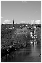 River Avon, willows, and church spire. Bath, Somerset, England, United Kingdom ( black and white)