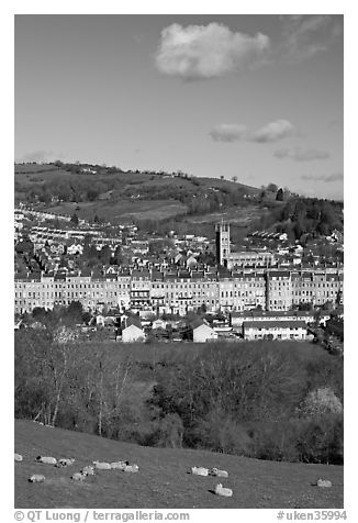 Sheep and distant view of town. Bath, Somerset, England, United Kingdom (black and white)