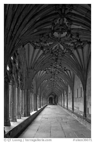 Cloister gallery, Canterbury Cathedral. Canterbury,  Kent, England, United Kingdom