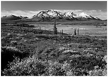 Tundra and snowy mountains. Alaska, USA (black and white)