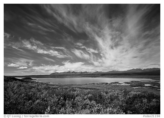 Clouds, tundra in fall color, and lake along Denali Highway. Alaska, USA (black and white)