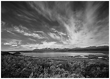 Clouds, tundra in fall color, and lake along Denali Highway. Alaska, USA ( black and white)