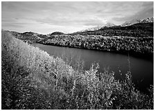 Long Lake surrounded by aspens in autumn color. Alaska, USA (black and white)