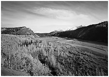 Matanuska River valley and aspens in fall color. Alaska, USA (black and white)