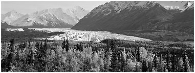 Autumn landscape with glacier. Alaska, USA (Panoramic black and white)