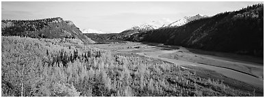 Wide valley with aspen in autumn colors. Alaska, USA (Panoramic black and white)