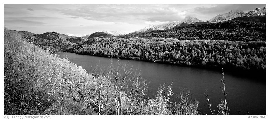 Autumn landscape with forest, lake, and mountains. Alaska, USA (black and white)