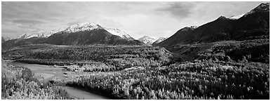 Autumn landscape with river, aspen forest, and snowy mountains. Alaska, USA (Panoramic black and white)