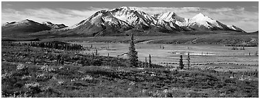 Tundra autumn scenery with snowy peaks. Alaska, USA (Panoramic black and white)