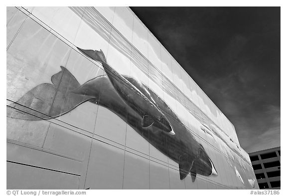 Outdoor wall mural with whale. Anchorage, Alaska, USA