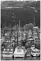 Yachts anchored in small boat harbor. Whittier, Alaska, USA (black and white)