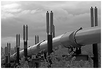 Trans-Alaska Pipeline near Richardson Highway. Alaska, USA (black and white)
