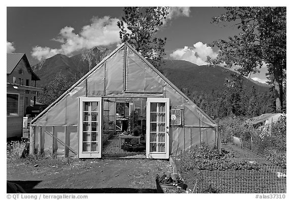 Greenhouse and vegetable garden. McCarthy, Alaska, USA (black and white)