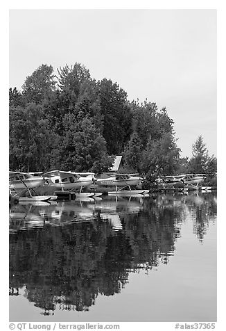 Seaplanes on the shore of Lake Hood, the largest sea plane base in the world. Anchorage, Alaska, USA (black and white)