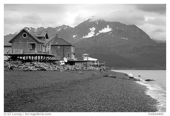 Houses on the beach at Lowell Point. Seward, Alaska, USA