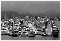 Small Boat Harbor on the Spit. Homer, Alaska, USA (black and white)