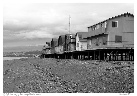 Beach and stilt houses on the Spit. Homer, Alaska, USA