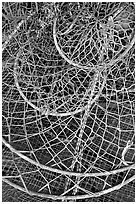 Fishing nets. Homer, Alaska, USA (black and white)