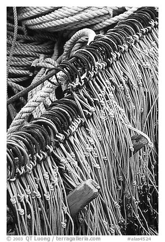 Fishing hooks. Homer, Alaska, USA (black and white)