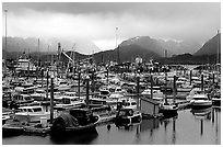 Small Boat Harbor on the Spit with Kenai Mountains in the backgound. Homer, Alaska, USA (black and white)