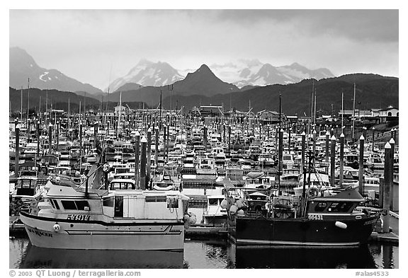 Small Boat Harbour on the Spit with Kenai Mountains in the backgound. Homer, Alaska, USA (black and white)
