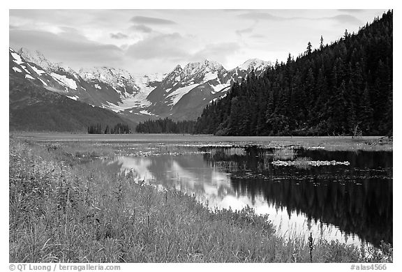 Chugatch Mountains reflected in pond near Portage. Alaska, USA