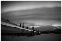 Trans Alaska Oil Pipeline at night with Northern Lights. Alaska, USA (black and white)