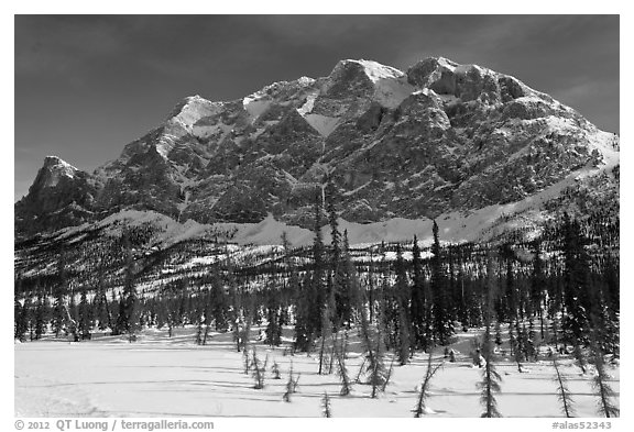 Mount Sukakpak in winter. Alaska, USA (black and white)