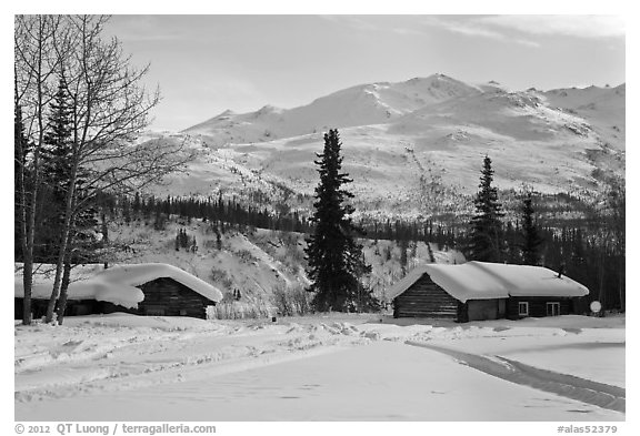 Cabins and winter landscape. Wiseman, Alaska, USA (black and white)